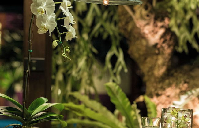 Chandra Residence - Foto 12