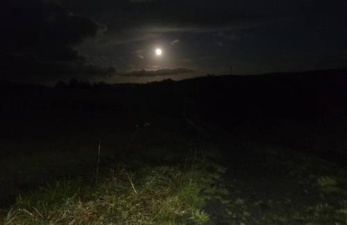 Luxury Welsh wooden cabin - Foto 63