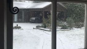 St Catherines, Winterborne Lodge - Foto 2