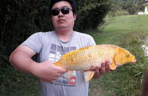 Celeiro Verde - Foto 14