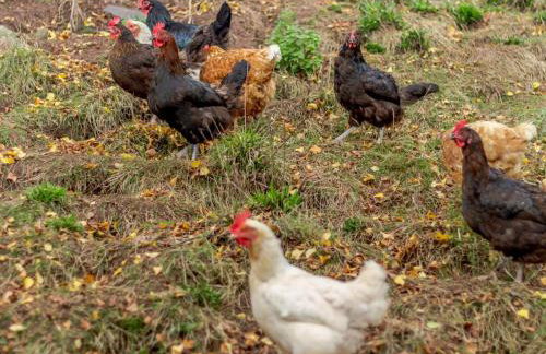 3 Bed in Abergavenny oc-90233 - Photo 23