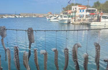 NEPTUNE OASIS Villa - Foto 44