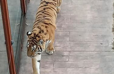 Vivienda Rural La Mazuga - Foto 65