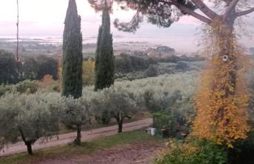 Agriturismo Cocò - Foto 8