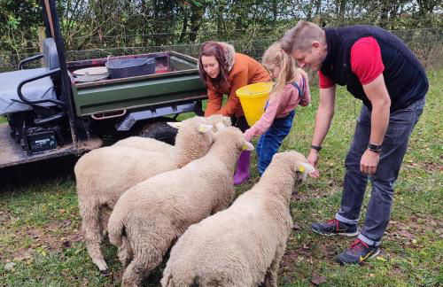 Bastle Retreats Cabin with hot tub - Foto 24