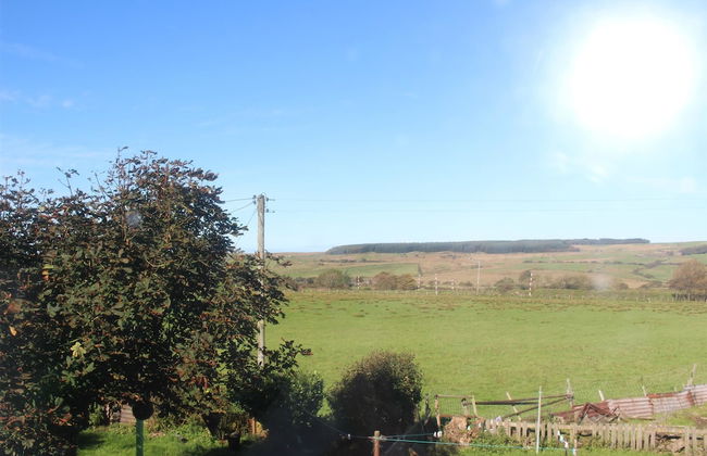 Miner's Cottage - Foto 11