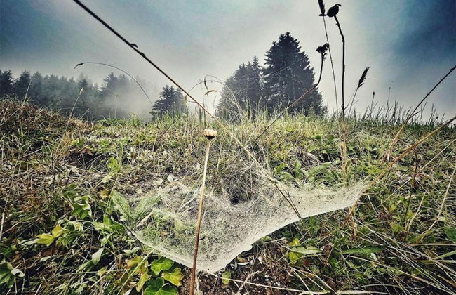 Apartment in St. Gallenkirch Near Ski Lift - Foto 38