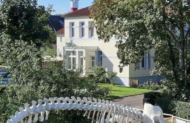 Holiday Apartment Villa in the Park - Foto 13