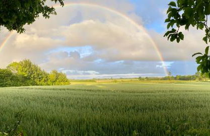 Hof Goosend - Urlaub an der Ostsee & Schlei - Foto 4