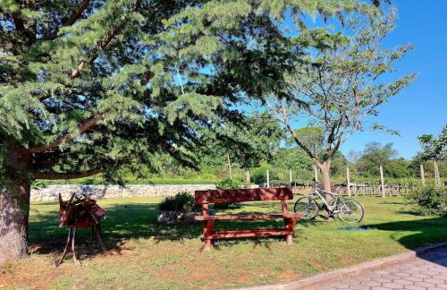 VILLA DOLA near Split - private pool, orchard, peace - Foto 45