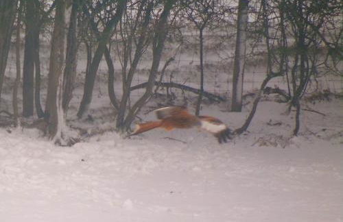 Pwllgwilym B & B - Foto 55