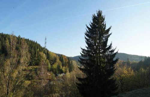 Family Comfort in Güntersberge - Foto 34