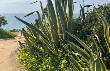 Casa Prainha, Alvor para 10 pessoas - Foto 73