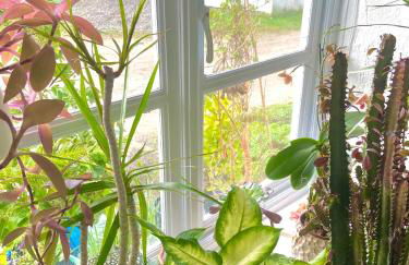 Idyllic Cornish Cottage, Superking bed, private garden dogs welcome - Photo 43