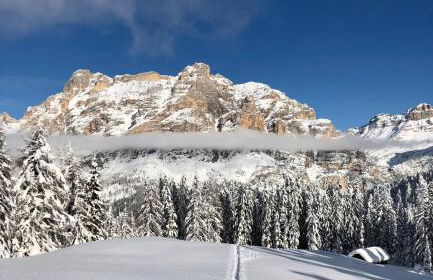 Apartment Ciasa Laoi - Foto 68