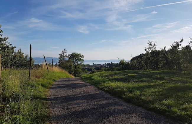 Stunning 1-bed Apartment in Bodolz Lake Constance - Foto 25