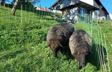 Wörle, Ferienhof - Foto 20