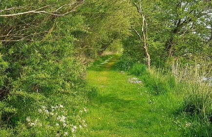 Haus am Meer Eckwarden - Foto 18