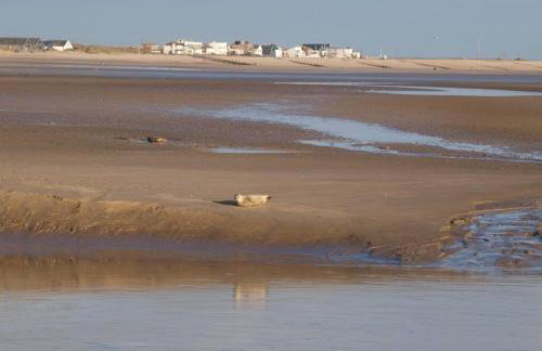 Blackthorn is a luxurious, rural retreat for two. - Foto 26