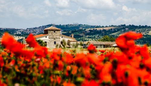 Country Relais La Torretta Baronale - Foto 5, Garden view