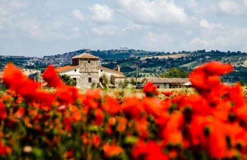 Country Relais La Torretta Baronale - Foto 5