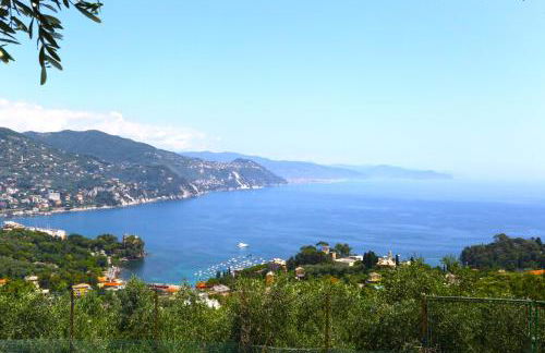 Andromeda Flexyrent - Foto 1