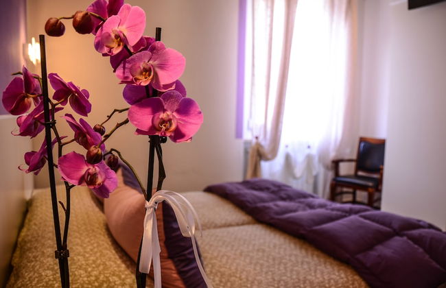 Il Piccolo Piacenza - Foto 8