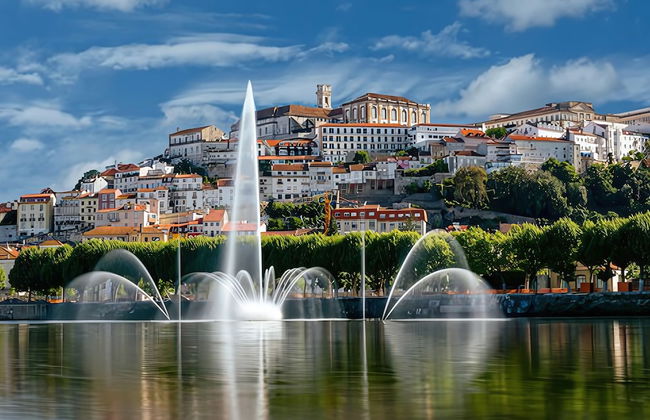 Alegria 79 - Photo 25