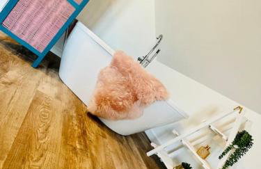 California Dreaming , California Scratby - Foto 40