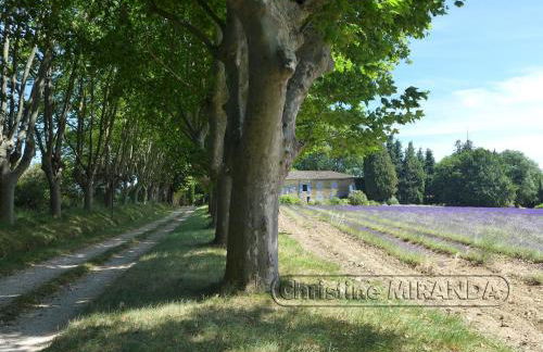 La Chapelle Gite avec piscine chauffee - Foto 23