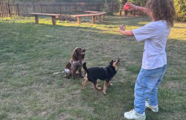 Dom Na Szlaku Mazury - Photo 64