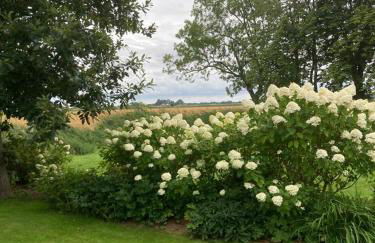 Marie Carla - Foto 18