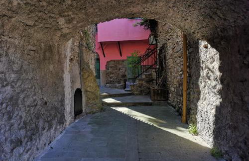 Trebiano a casa dei nonni - Foto 25