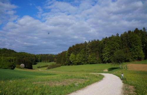 Wohnung in Ruhmannsfelden mit Hallenbad - Foto 40