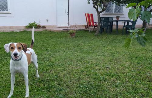 Casa Il Poggio - belvedere della campagna romana - Foto 18