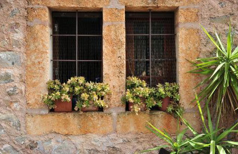 Finca Hotel Ses Cases Noves - Foto 106