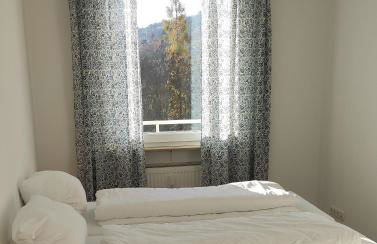 Eleonoras Ferienwohnung in Würzburg Stadt am Park mit Balkon inklusive eigenen Parkplätzen vor der Tür - Foto 10