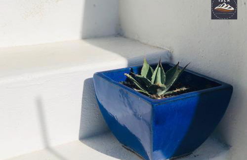 Sueño Marinero - Foto 9