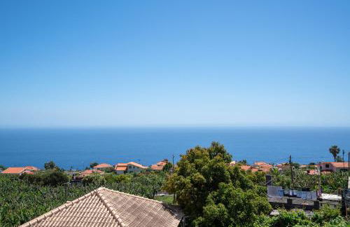 Apartment Annie 2 - Photo 25