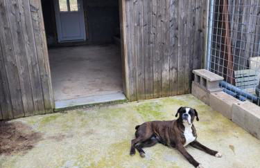 Maison proche de Verdun, en campagne, jusqu'à 6 personnes - Foto 26