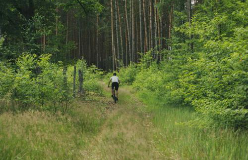 Stara Kuźnia- Domek w Puszczy Noteckiej - Foto 23