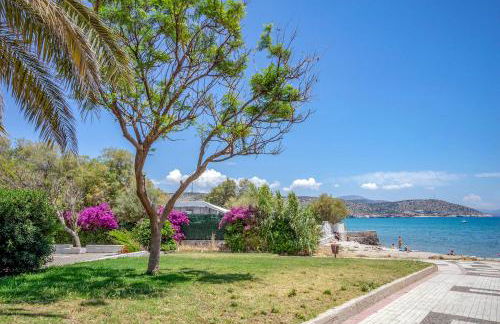 Fani's Seacret - Foto 14