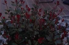 Poolemonhouse - Foto 29