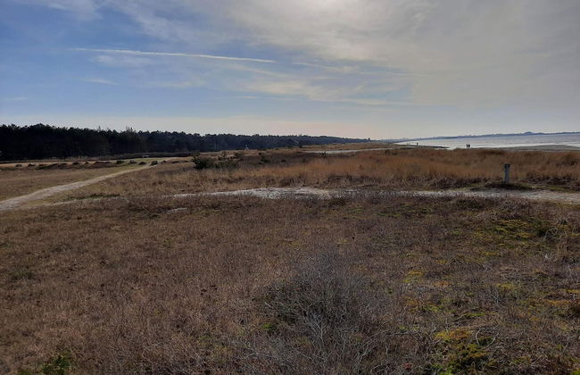 8 Person Holiday Home in Store Fuglede - Foto 18