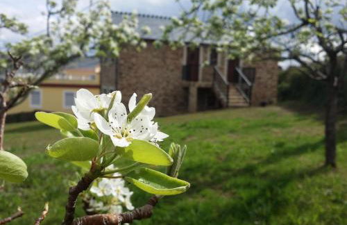 Apartamentos A Palleira - Foto 45
