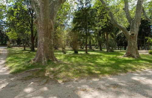 Mas 9 Romanin - Mas Provençal Familial - Foto 39