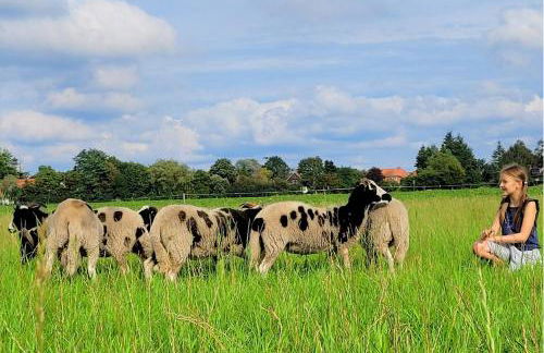 Landhaus Seemann Ferienwohnungen im Grünen - Foto 7