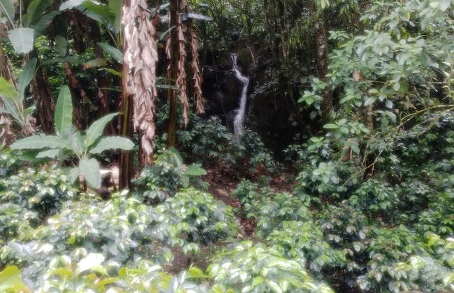 Captivating 4-bed Chalet Las Casitas en el Aire - Foto 16