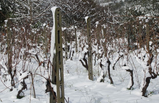 Agriturismo Etna-Mare - Photo 30