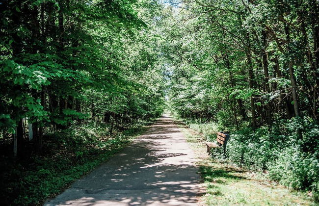 The Cottage - Foto 13